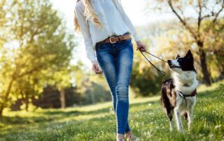 walking dog